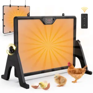 Plaque chauffante réglable pour 30 poussins, hauteur et angle ajustables