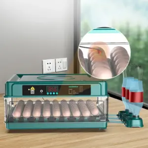 Couveuse automatique 6 à 12 œufs pour poule, oie et caille
