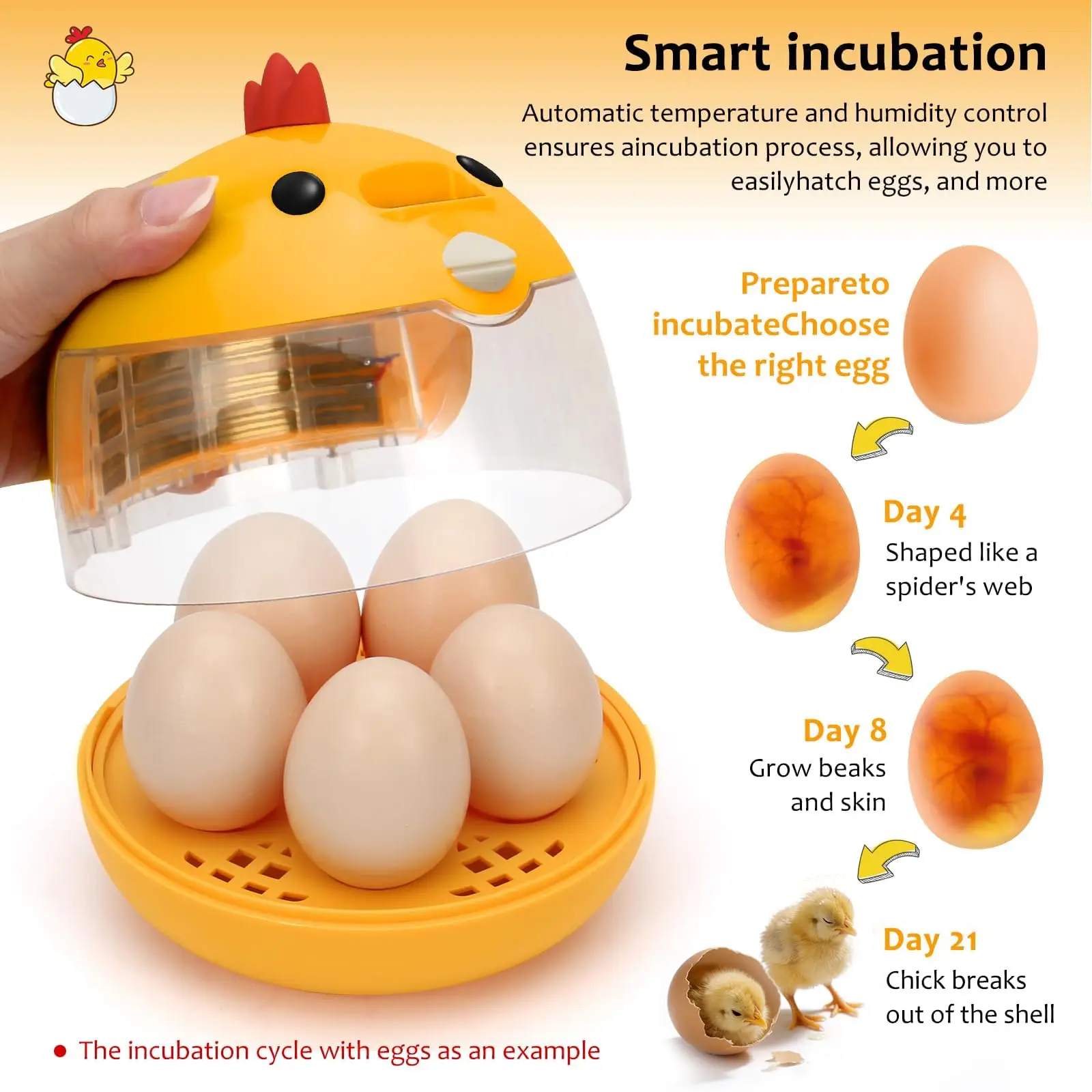 Mini couveuse 5 œufs avec ovoscope intégré pour petites éclosions – Image 4