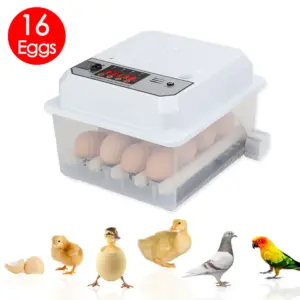 Couveuse 16 œufs à double alimentation et retournement automatique