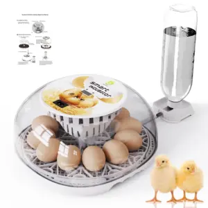 Couveuses et poussins