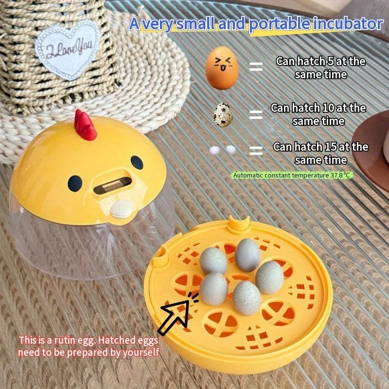 Mini couveuse 5 œufs avec ovoscope intégré pour petites éclosions – Image 2